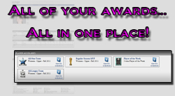 Player Awards - all awards in one place
